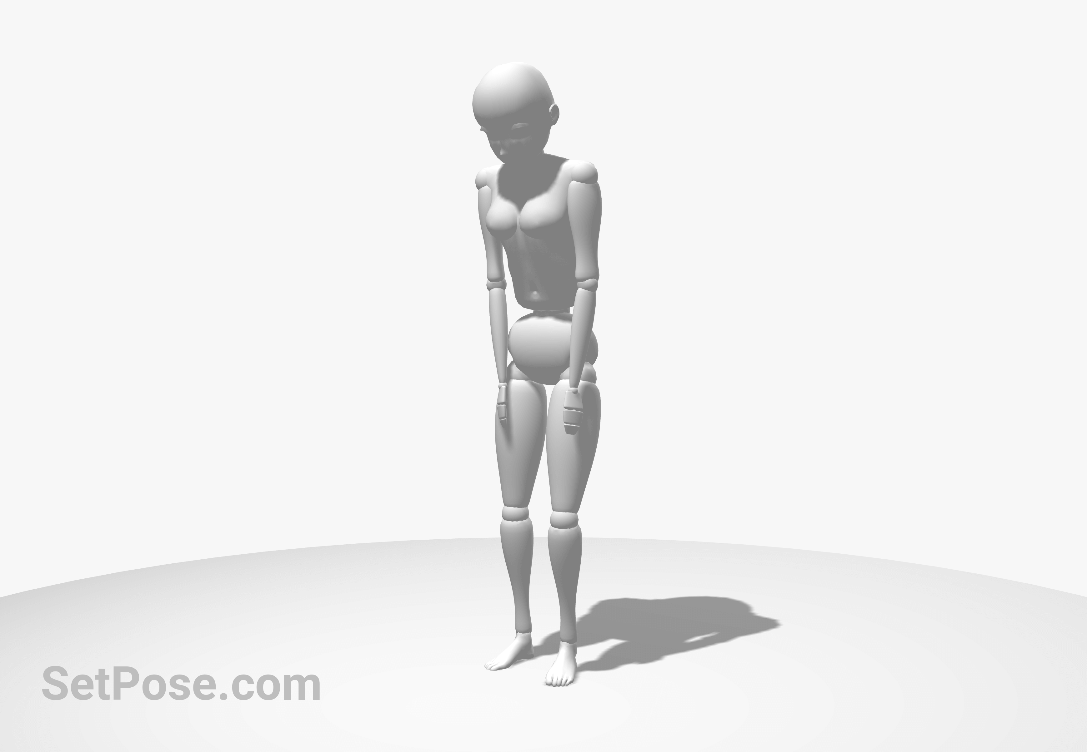 35 Anime Reference Poses for Drawing Editable 3D Model  SetPosecom